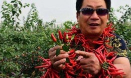 中国辣王最新爆料,中国辣王揭秘行业内幕