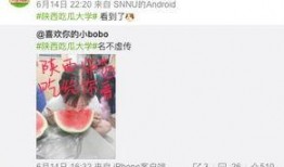 娱乐吃瓜酱考大学,娱乐吃瓜酱带你领略大学生活的多彩画卷